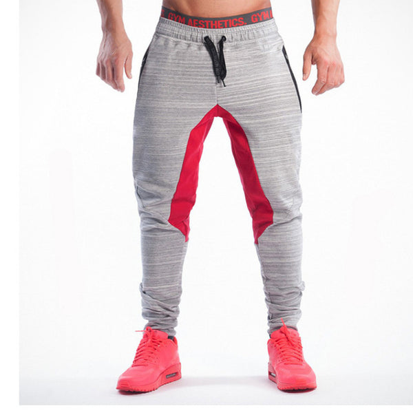 2017 Fitness Men Bodybuilding Hoodies Gyms Brand